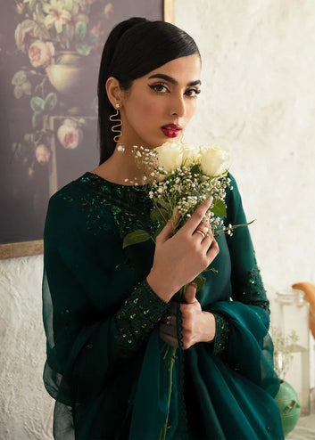 Zinnia